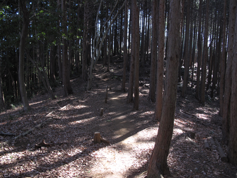 20170126hike (143)